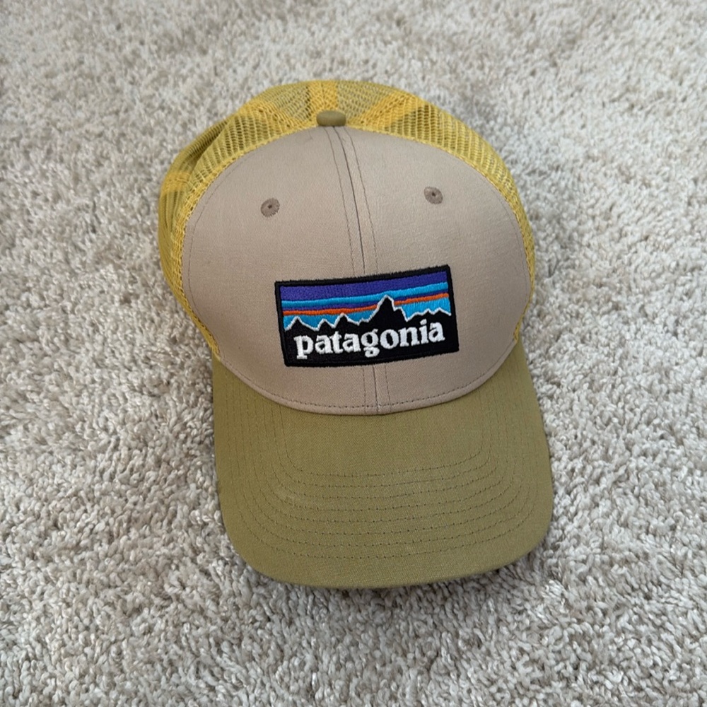 Adult Patagonia hat